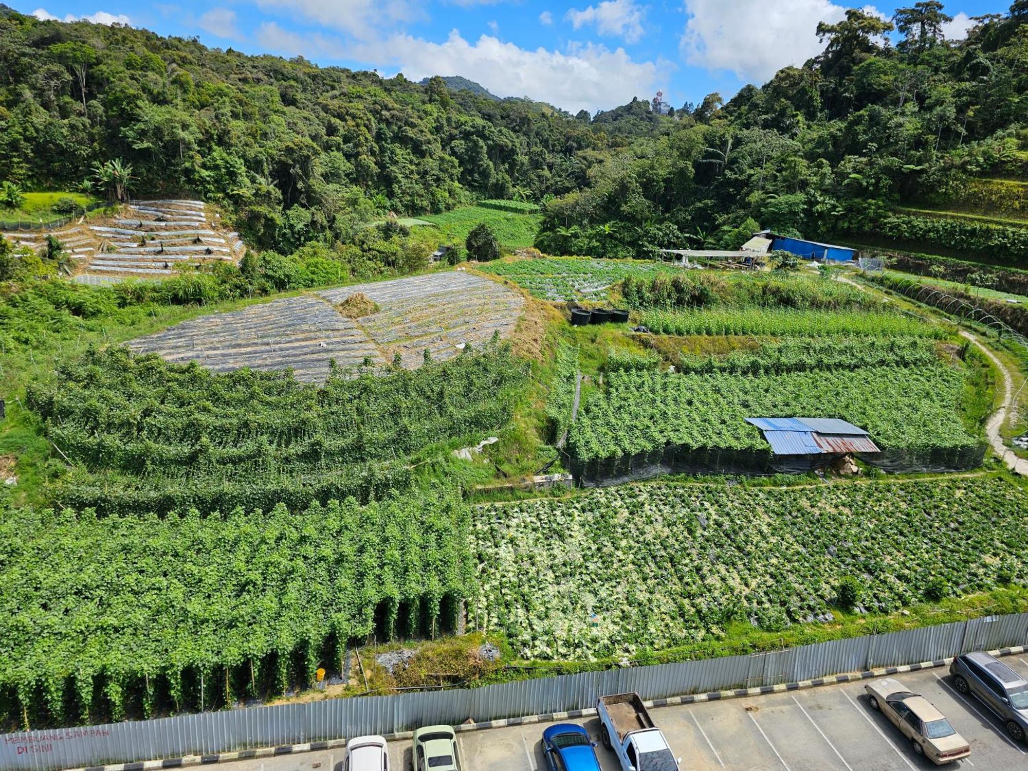 Rhino Home Tanah Rata Exterior photo